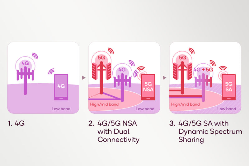 Dynamic Spectrum Sharing